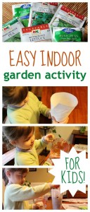 How to make an indoor garden -- perfect learning activity for kids of all ages!