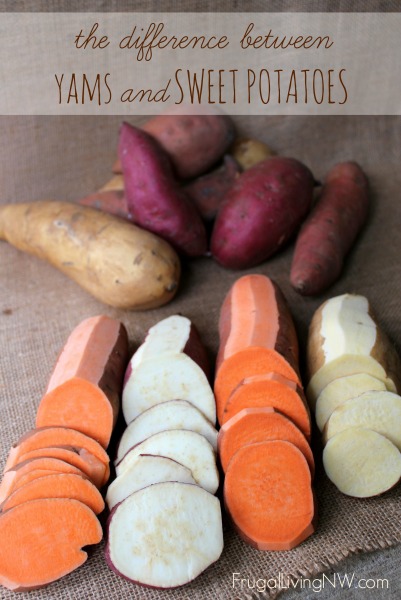 Yams and Sweet Potatoes: Is there a difference? - Frugal Living NW