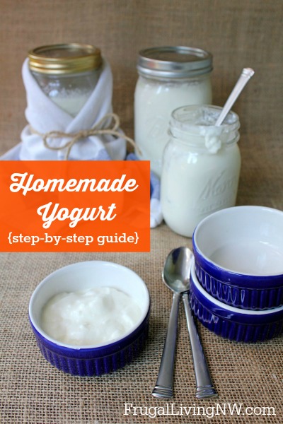 Homemade yogurt recipe