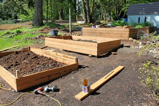 building raised beds