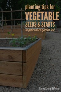 Tips for planting vegetable seeds & starts in your raised garden bed