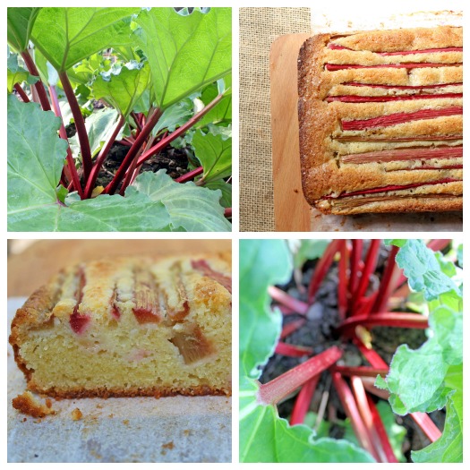 Rhubarb Almond Cake recipe