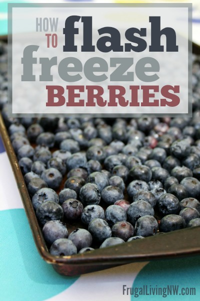 How to Flash Freeze Berries -- The BEST way to preserve summer berries (and the easiest!)