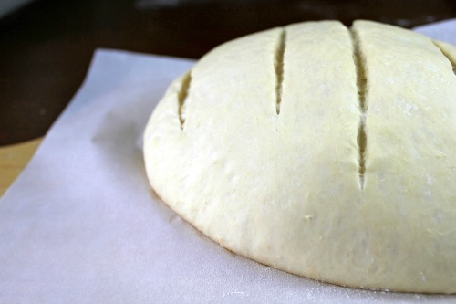 artisan-bread-yeast-5