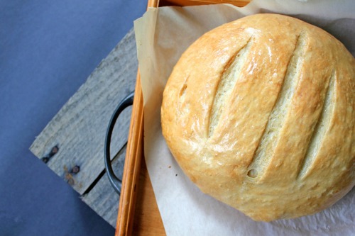 artisan-bread-yeast-6