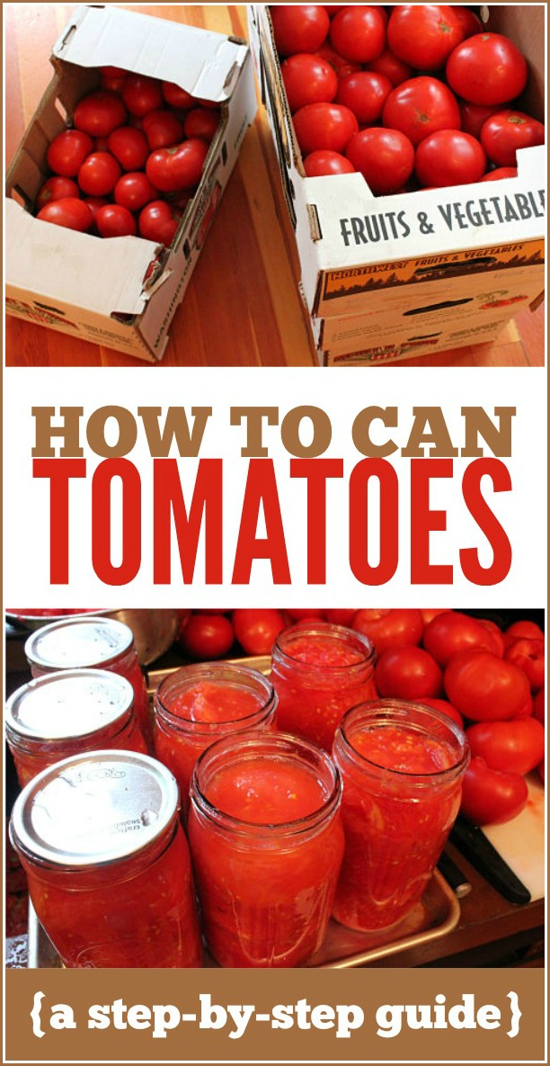 How to Can Tomatoes: A step-by-step guide