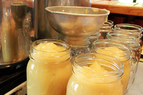 canning jars of applesauce