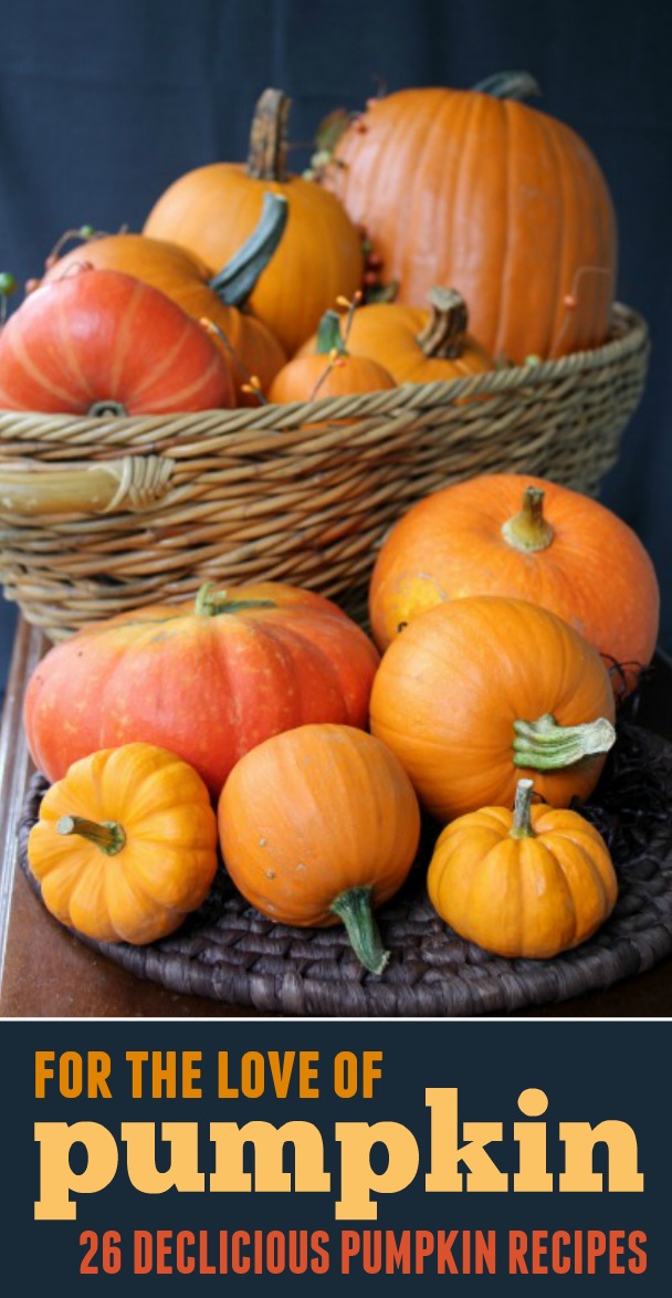For the Love of Pumpkin -- 26+ delicious pumpkin recipes