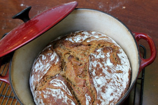 Whole wheat no-knead bread recipe