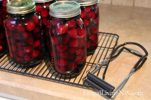  canned cherries