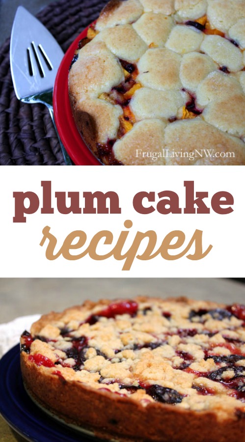 Plum Cake Recipes: 2 delicious and simple ways to use fresh plums!