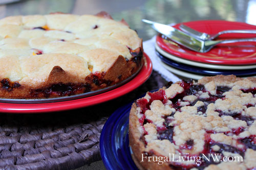 Plum Cake Recipes: 2 delicious and simple ways to use fresh plums!