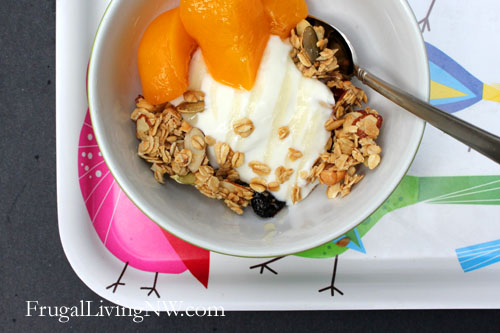 homemade granola with fruit and yogurt