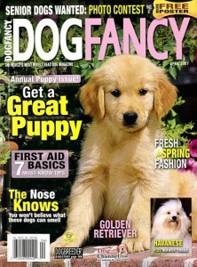 Dog Fancy Magazine Discount