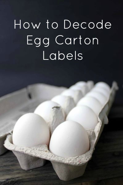 understanding egg labels