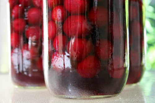 how-to-can-cherries-3