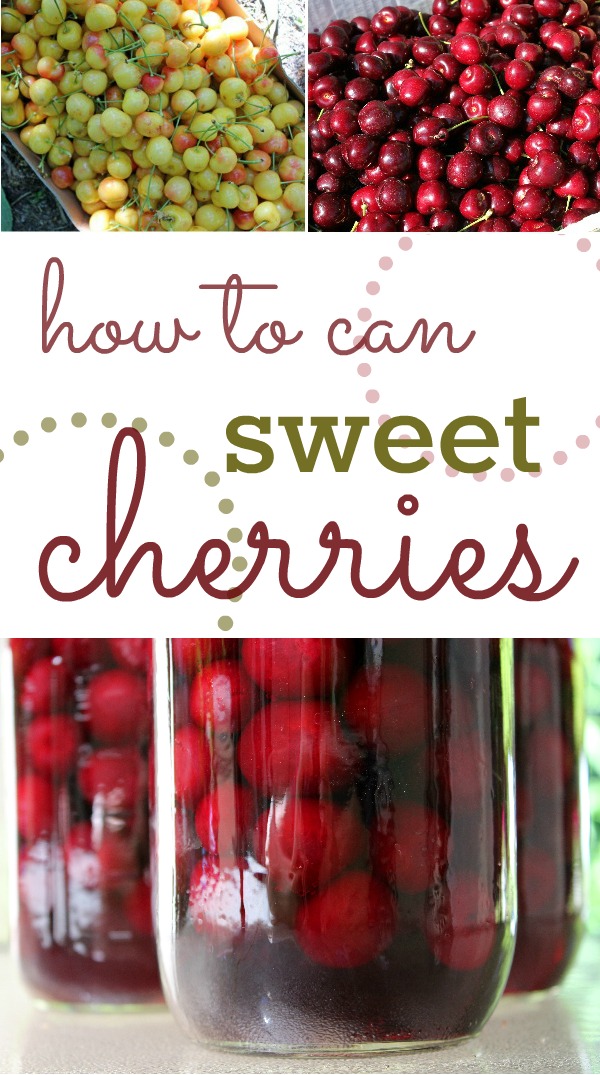 How to Can Sweet Cherries: A step-by-step guide