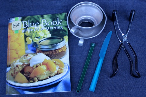 ball blue book guide to preserving