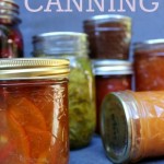 water bath canning guide