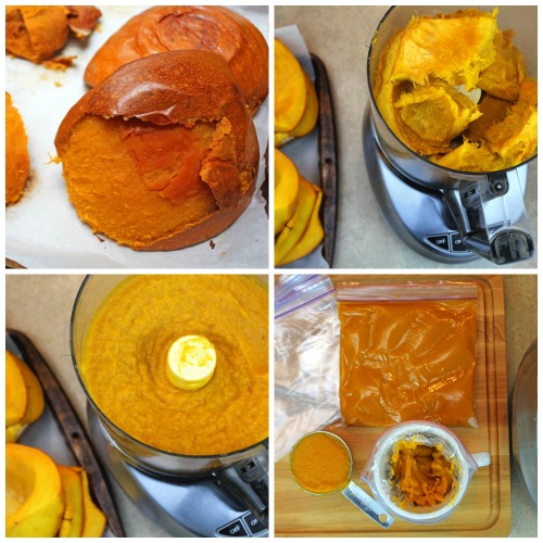 pumpkin collage2