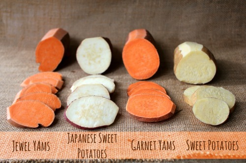 different types of sweet potatoes