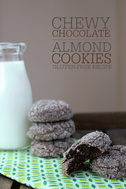 Gluten-Free Chewy Chocolate Almond Cookie Recipe