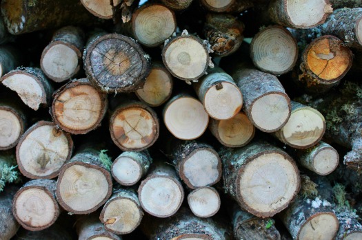 Wood Stove Heat - Firewood