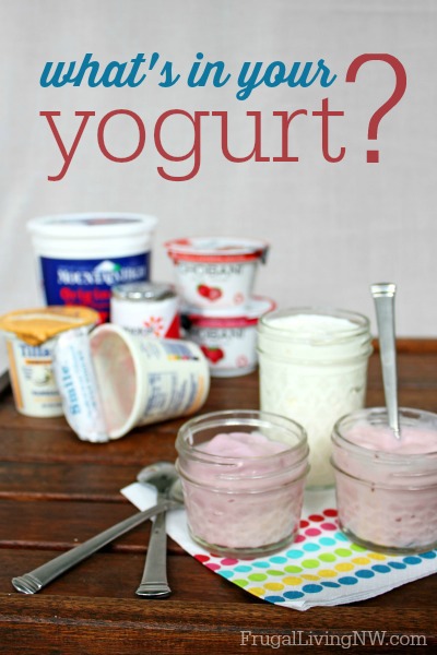What's in your yogurt? How to decode flavors & ingredients in store yogurt