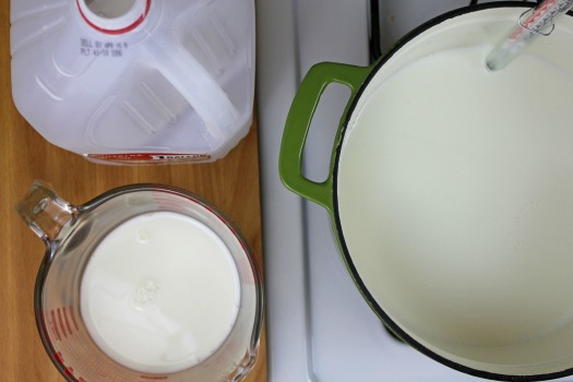homemade yogurt ingredients