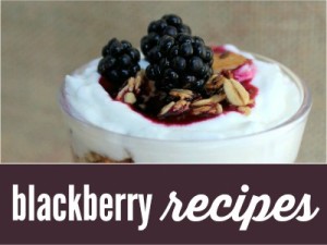 Fresh Blackberry Recipes