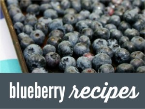 Fresh Blueberry Recipes