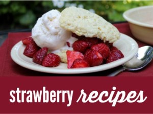 Fresh Strawberry Recipes