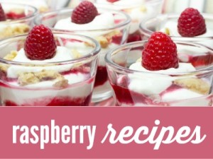 Fresh Raspberry Recipes