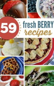 59 Fresh Berry Recipes: A huge list of recipes to put your fresh berries to good use! Includes desserts, drinks, breads, main dishes and more!