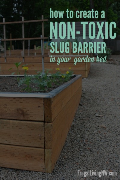 How to make a NON-TOXIC slug barrier for your raised garden bed