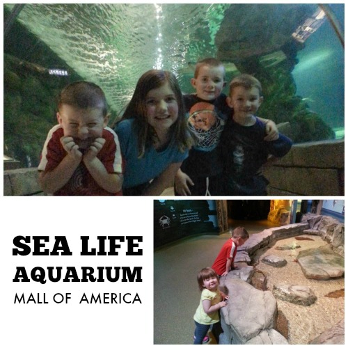 Mall of America in Minnesota Review