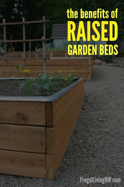 The benefits of raised garden beds -- Gardening with raised beds is a great solution for so many reasons!