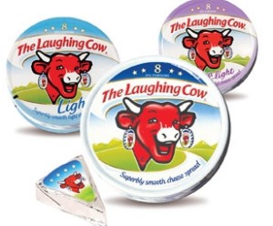 laughing-cow