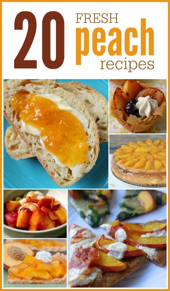 20 Fresh Peach Recipes: Tons of recipes for fresh peaches, including an easy step-by-step canning guide!