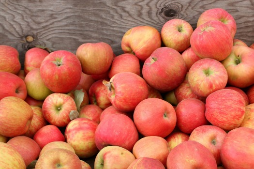 Pacific NW apple varieties
