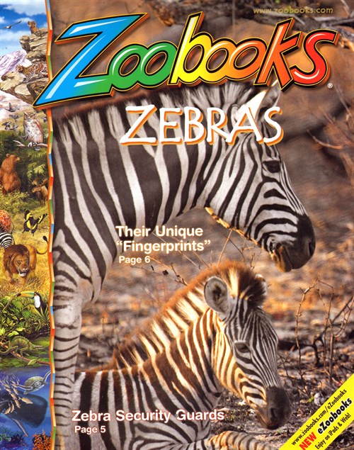 zoobooks-magazine-subscription