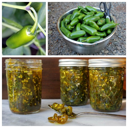 How to make candied jalapenos (recipe)