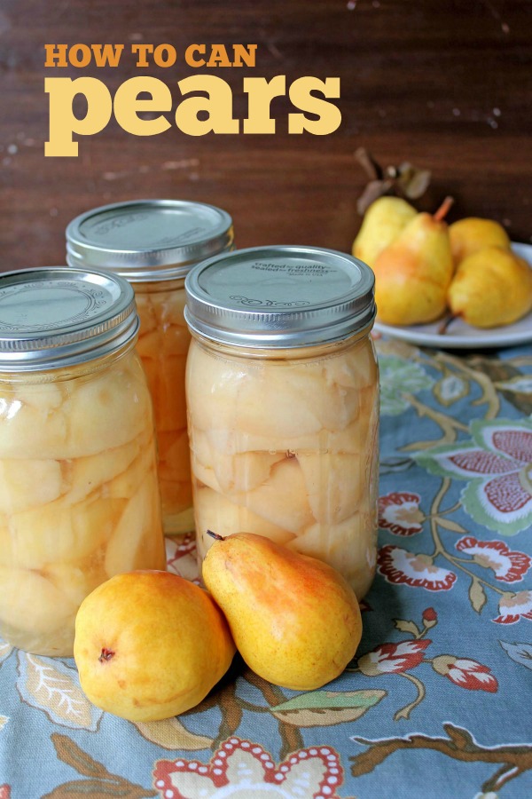 How to can pears: An easy to follow step-by-step guide on how to preserve pears. Simple and delicious!