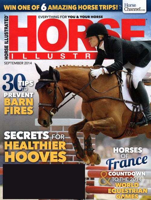horse-illustrated-magazine-subscription