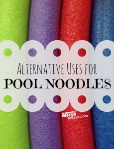 Alternative-Uses-for-Pool-Noodles-781x1024