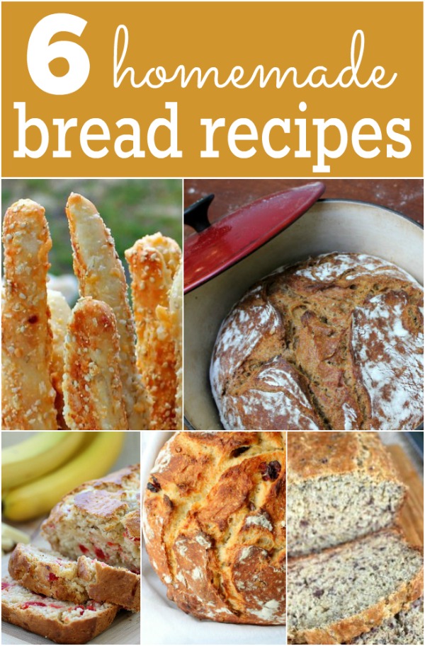 6 Homemade Bread Recipes -- Simple and delicious recipes to get you on your homemade bread journey!