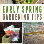 spring gardening tips