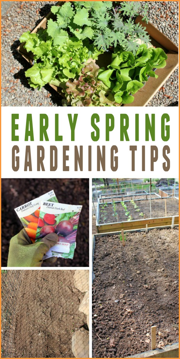 Pacific NW Spring Gardening Tips