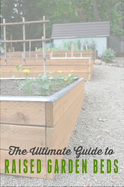 The Ultimate Guide to Raised Garden Beds: A series to teach you everything you need to know to build, plant, and maintain raised garden beds!