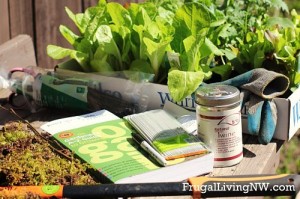 Inspiration-for-a-beginning-gardener